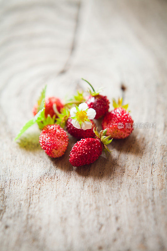 野草莓。