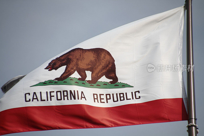 加州国旗上的大熊。