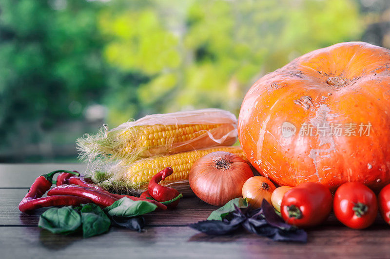 深色的桌子上放着新鲜的蔬菜。秋天的背景。健康饮食。
