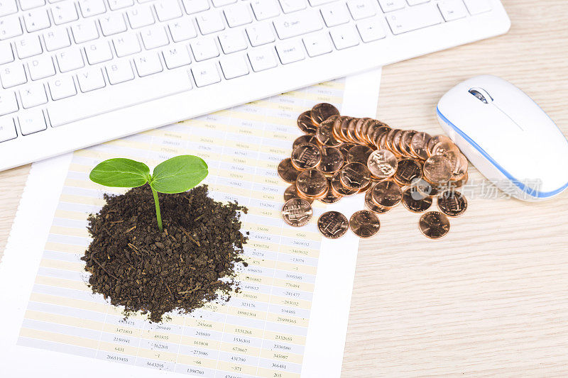业务增长:桌上有植物和硬币键盘