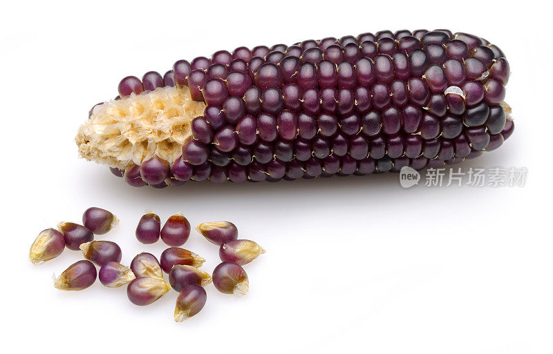 紫色有机玉米
