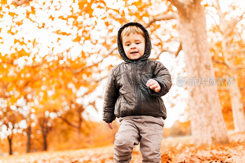 小男孩在秋天跑步。
