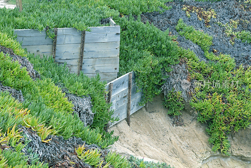 为了防止侵蚀，加州建立了冰植物和围栏