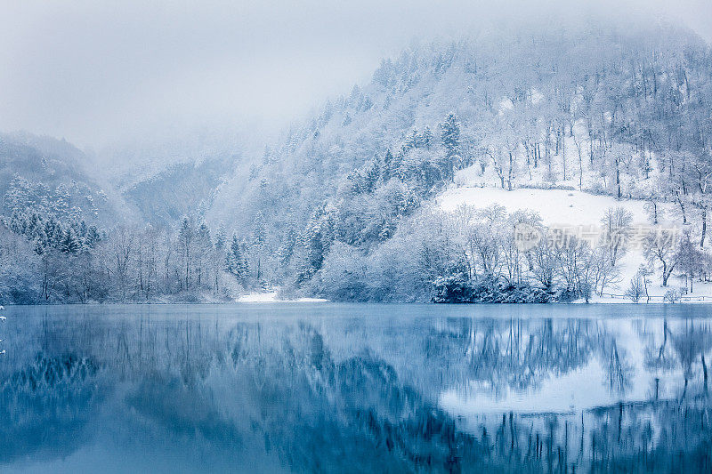 美丽的冬季景观，湖泊和冰冻森林