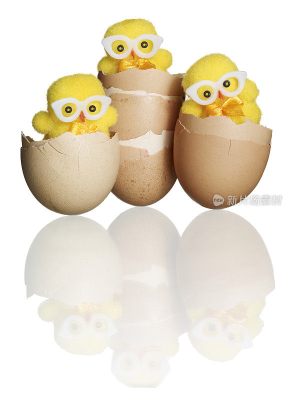 三只小鸡坐在一堆蛋壳上