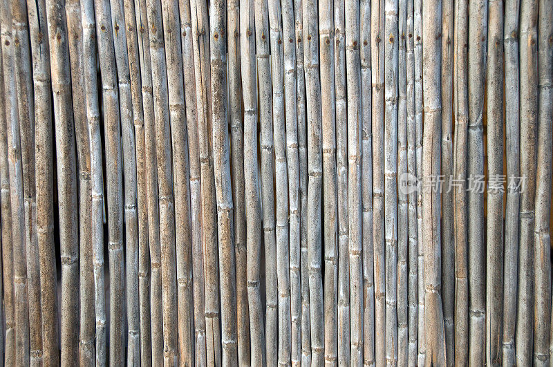 用干竹竿垂直排列的竹栅栏。
