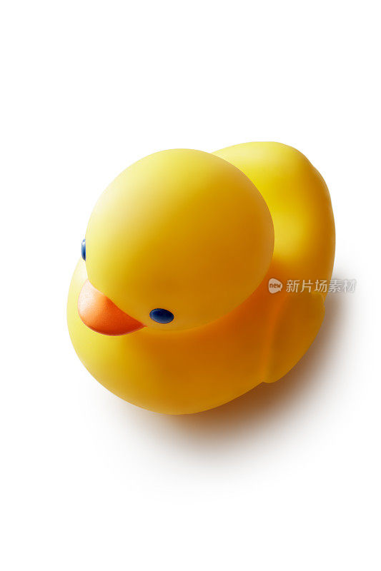 浴:橡胶鸭孤立在白色背景