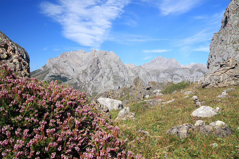 山景观