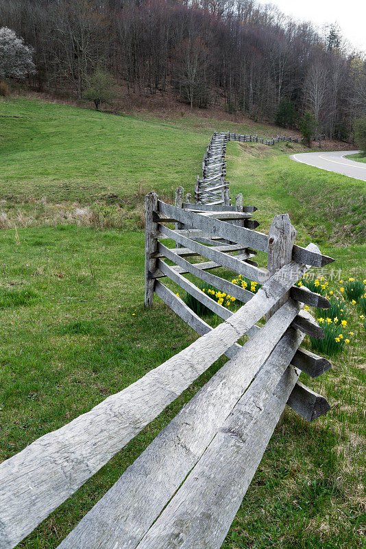 用水仙花围成的乡村分割栏杆