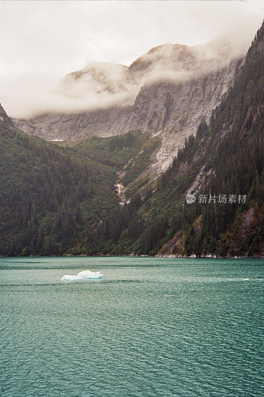 特蕾西臂峡湾