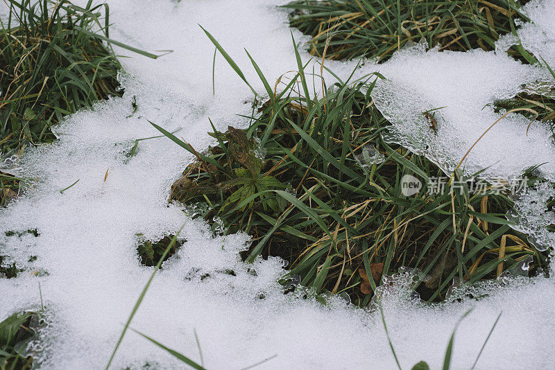 融化的雪