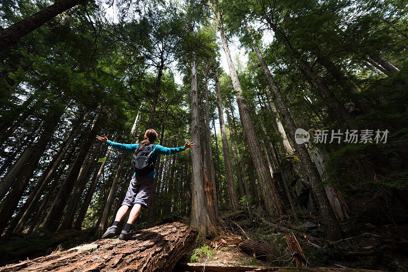 在温带雨林中快乐的徒步旅行者