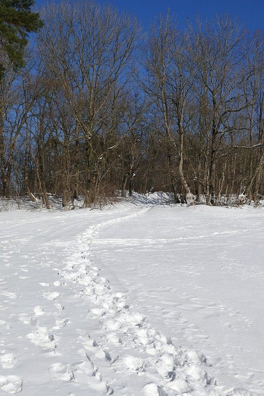 脚印在雪地