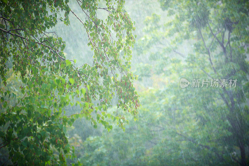 夏雨