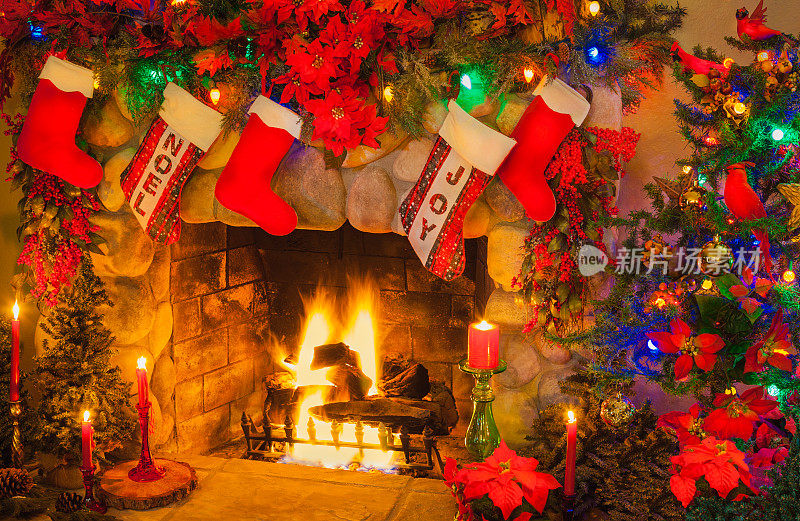 老式圣诞石头壁炉和一品红(P)