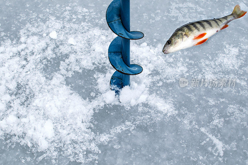 冰上钓鱼，栖在冰上