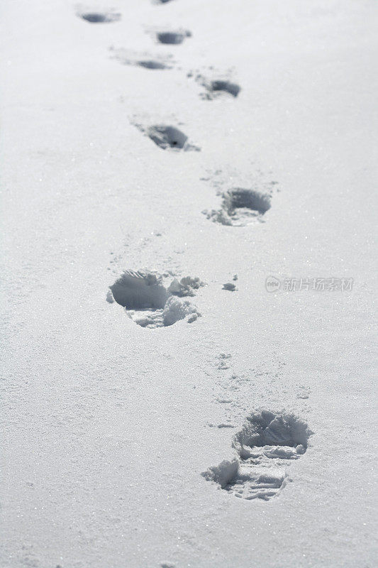 雪地里的脚步声