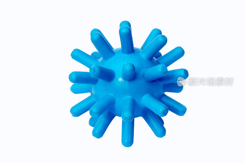 蓝色橡胶狗玩具