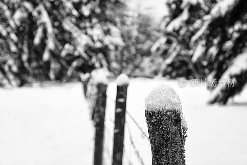 白雪皑皑的景色