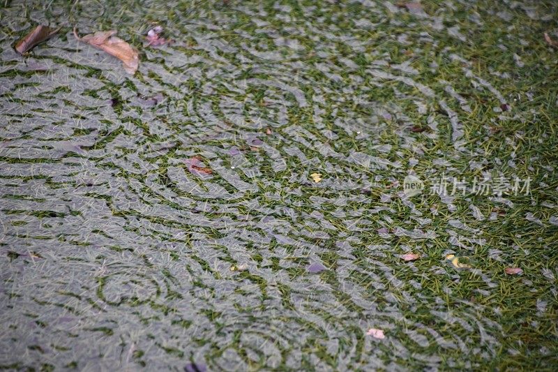 雨