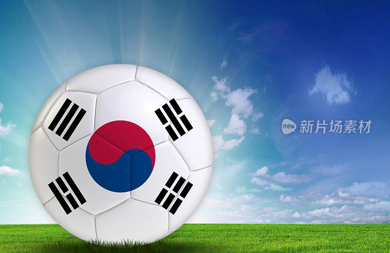 带有韩国国旗的足球