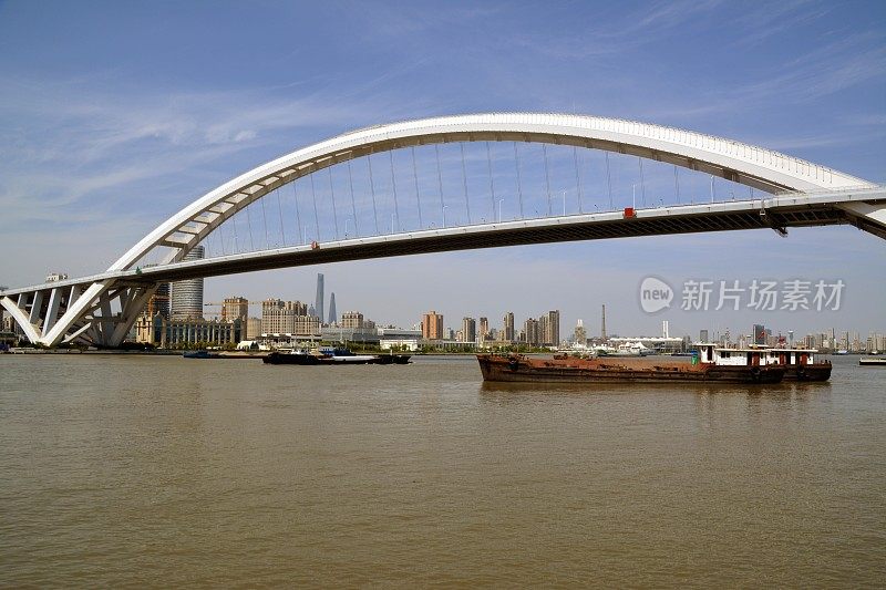 中国上海黄浦江上的卢浦大桥