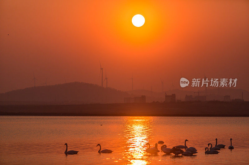 中国天鹅湖上的日落