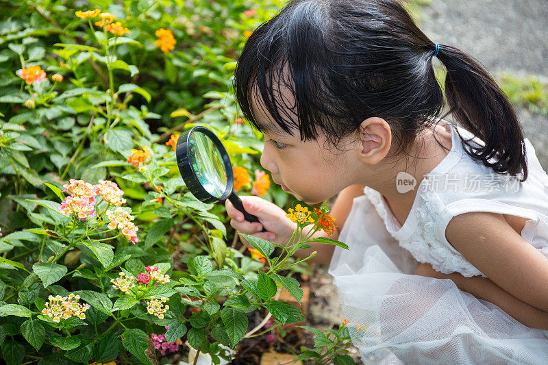 亚洲华人小女孩透过放大镜看花