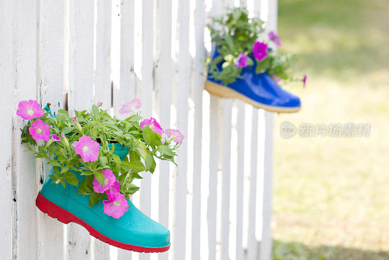 装饰矮牵牛花植物在鞋挂在法国。