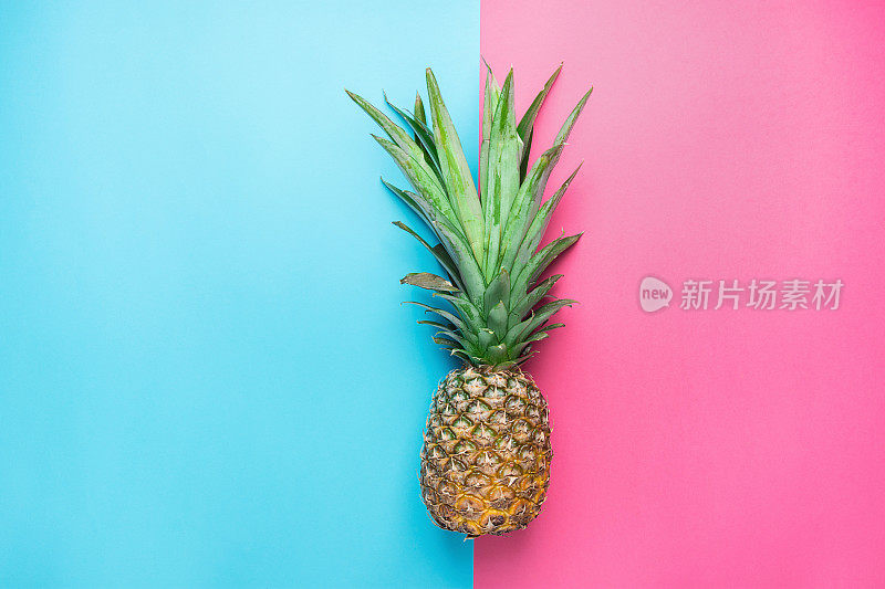 成熟的菠萝，浓密的绿叶，在分开的双色粉蓝色背景上。暑假旅游热带水果维他命时尚概念。平面复制空间