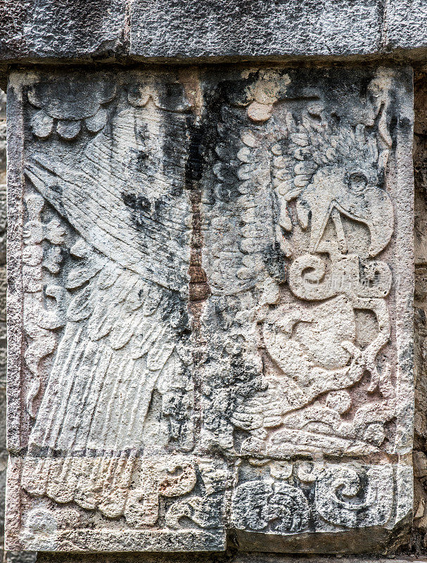 奇琴伊察玛雅遗址上的鹰食心石雕