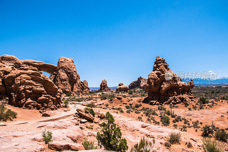 石头沙漠。拱门国家公园，摩押沙漠，犹他州，美国