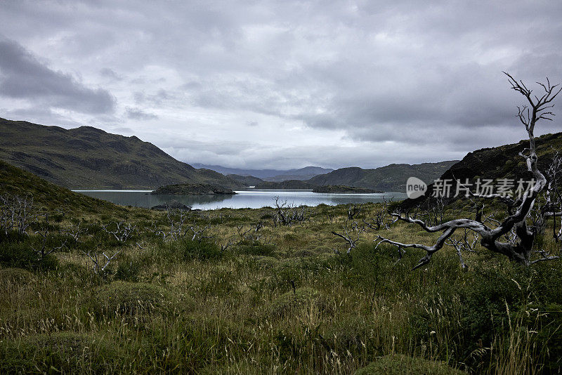 智利麦哲伦地区的宁静湖泊和草原