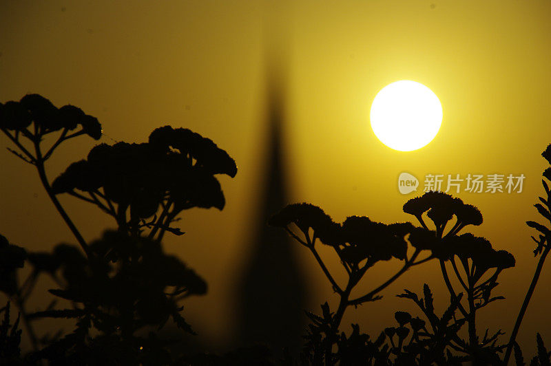 农村日出场景