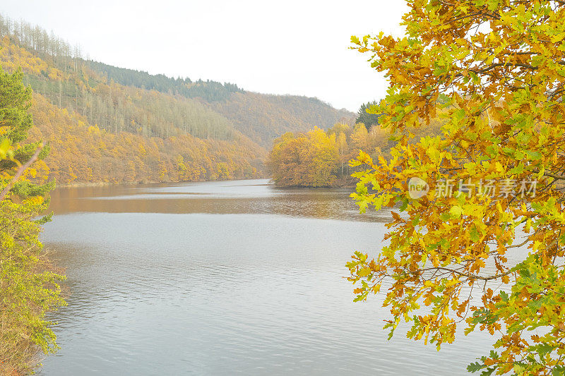 从艾菲尔的森林与秋天的颜色看乡间景色
