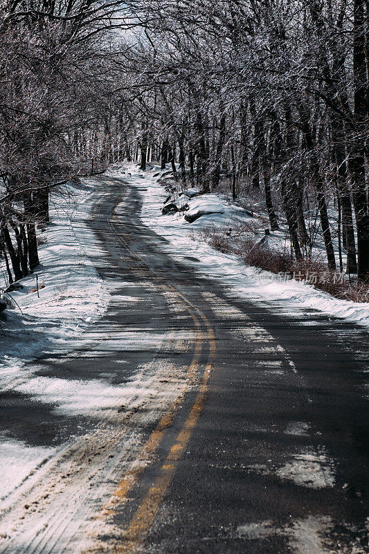 纽约州哈里曼州立公园的雪地道路