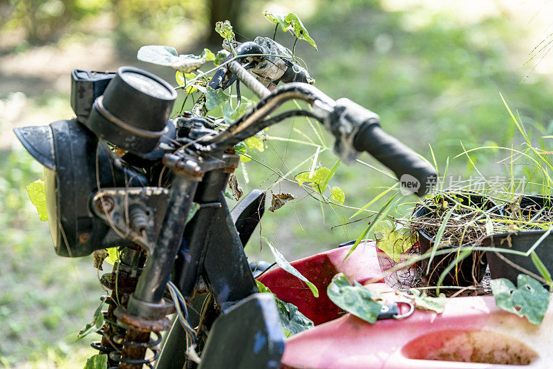 一辆被遗弃的长满植物的摩托车