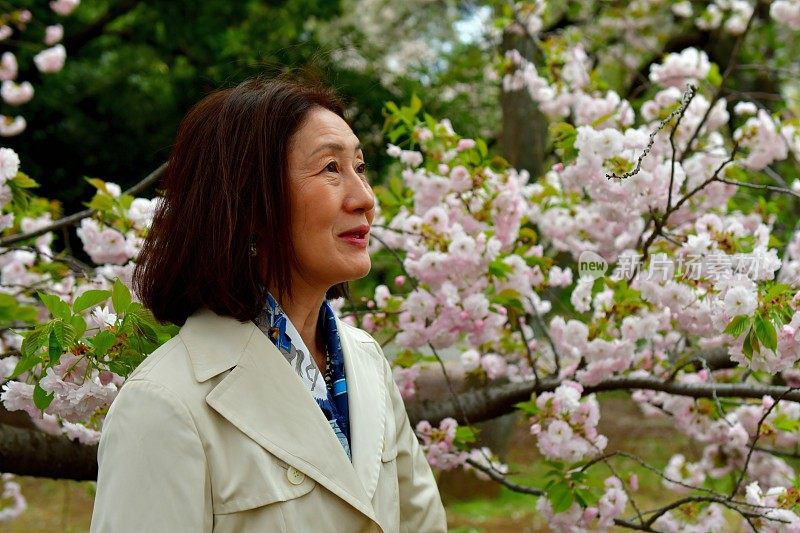 日本女子在东京赏樱花