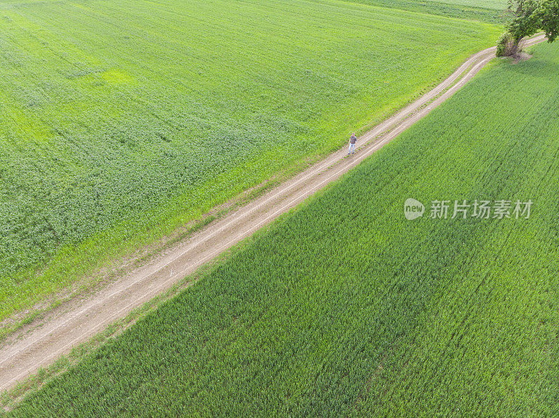 英俊的成年农民在土路上穿过他的绿色小麦苗农田在早春。鸟瞰图。