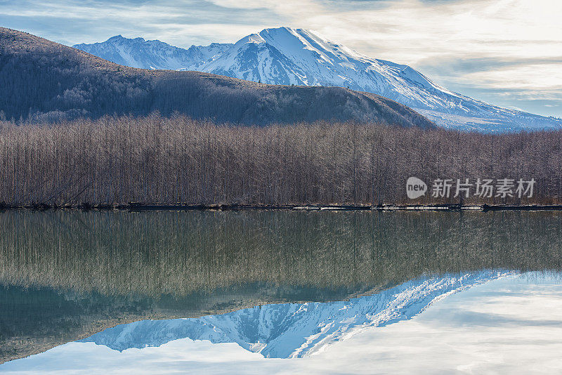 冷水湖上的圣海伦斯山倒影