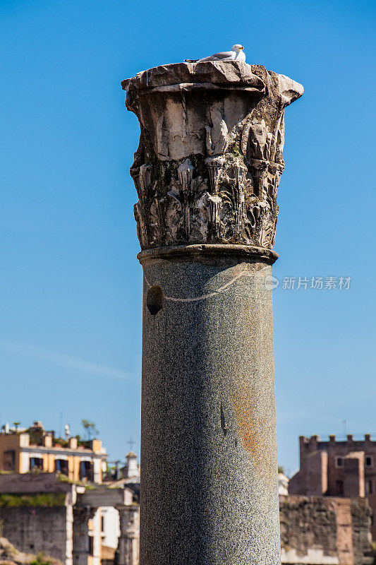 凯撒广场遗址，由凯撒大帝于公元前46年在罗马罗马广场附近建造