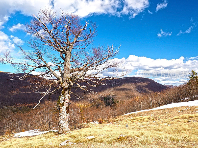 Velebit山景