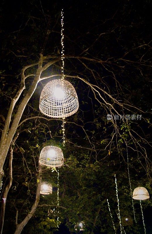 竹吊灯挂在树上