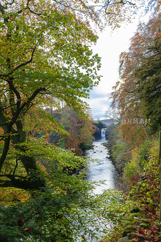 河蒂斯和高力量瀑布通过秋天颜色的树叶在达勒姆，英格兰靠近米德尔顿在提斯代尔。