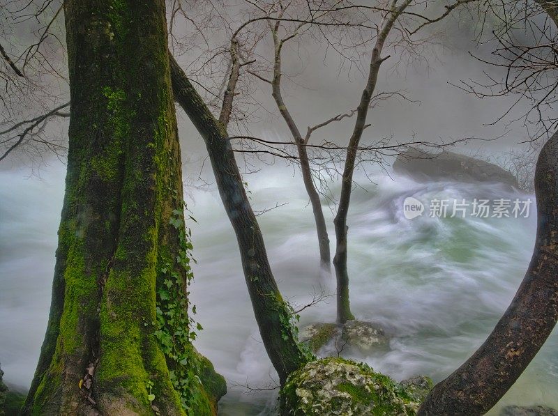 溪与雾:河岸的神秘