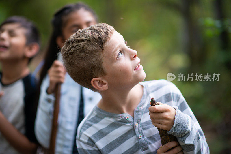 徒步旅行股票照片上的男孩抬头看树