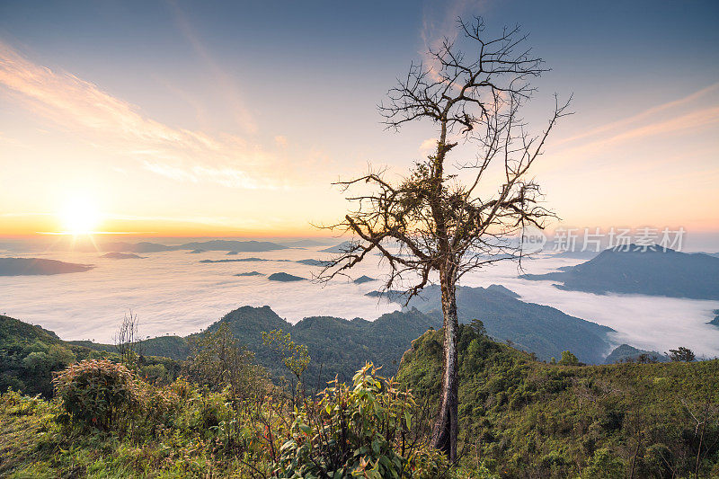 星空之夜，在福芝发和福芝道的银河山，清莱和清迈的自然景观，风景秀丽的日出在泰国北部