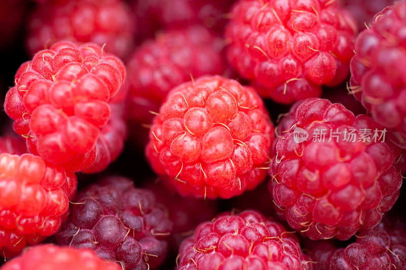 背景纹理成熟多汁的浆果树莓特写