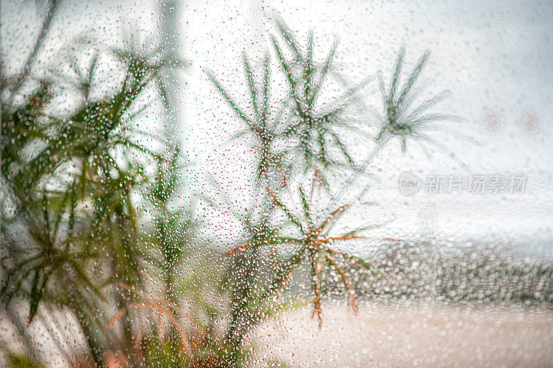 雨滴落在窗户上