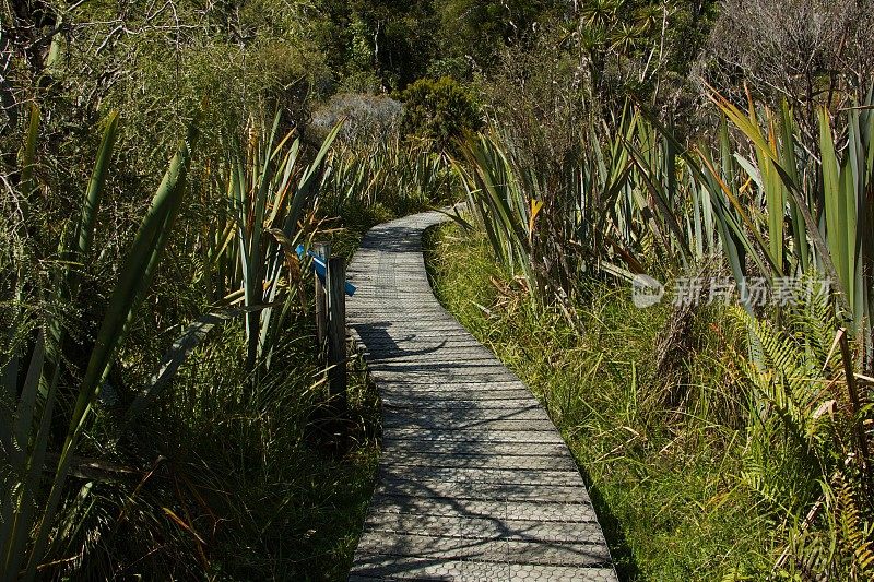 哈普卡河口漫步在新西兰南岛西海岸的抱负山国家公园